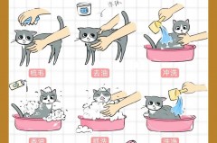 洗衣泡泡纸洗衣服真的干净吗_泡泡洗涤