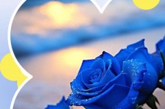 蓝色的美好寓意，蓝色的象征意义是什么，蓝色的寓意代表什么