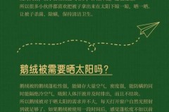 鹅绒被扭花的好还是方格好，鹅绒被扭花和面包格哪个好？