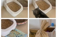 单层猫砂盆怎么用松木，松木猫砂必须双层盆吗