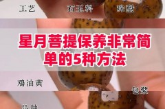 搓澡巾细纹路好还是粗纹路好，搓澡巾太粗糙怎么办