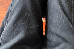 裤子粘毛是质量差吗_裤子粘毛能洗掉吗