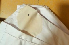 老鼠在衣服上撒尿怎么洗，老鼠撒尿的衣服怎么清洗