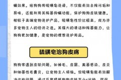 硫磺皂洗澡可以去背上的痘痘吗_硫磺皂洗后背痘痘有用吗