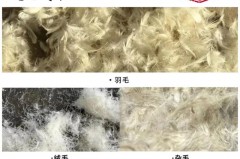 飞丝绒是什么材料做的，飞丝羽绒服？