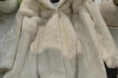 貂皮大衣能晒太阳吗，貂皮大衣能晒太阳吗冬天？