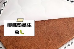 老人小孩睡椰棕床垫好不好，老人睡棕垫床垫还是睡乳胶床垫好啊